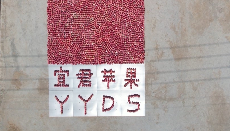 宜君果农用2000多个苹果造“火箭”庆丰收 喊航天员吃苹果 想吃多少供多少