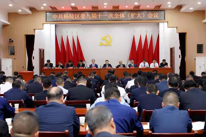 捞干的 撸稠的 杨陵区这场会议开的真扎实