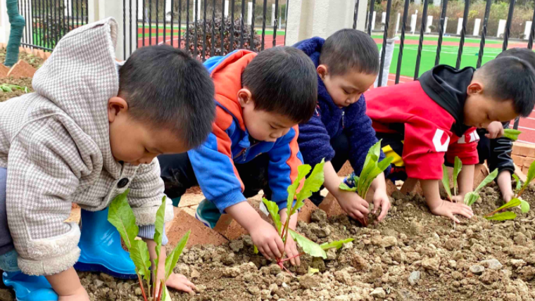 平利县第三幼儿园：聚焦“五小”工程 ，践行劳动课程——“小能人”活动纪实