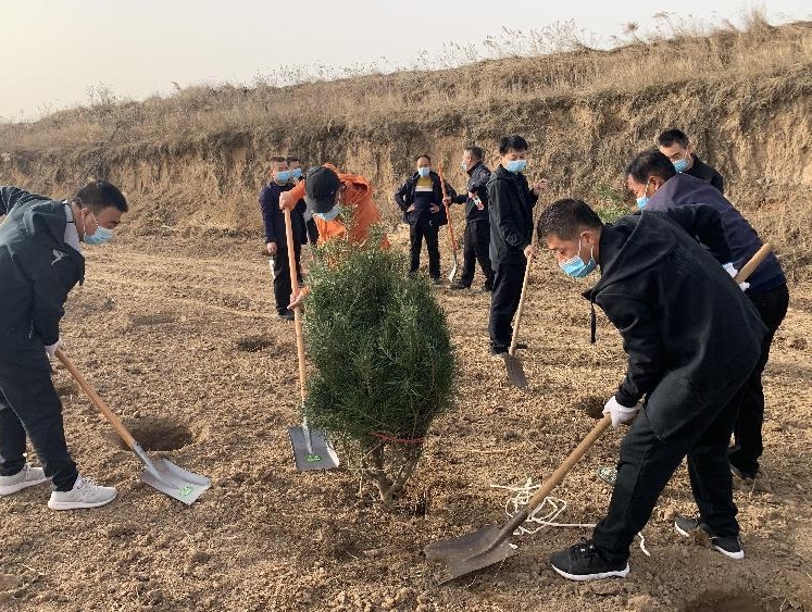长武县自然资源局积极参加植树活动