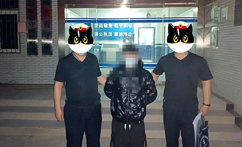 杨陵汽车租赁市场新风向