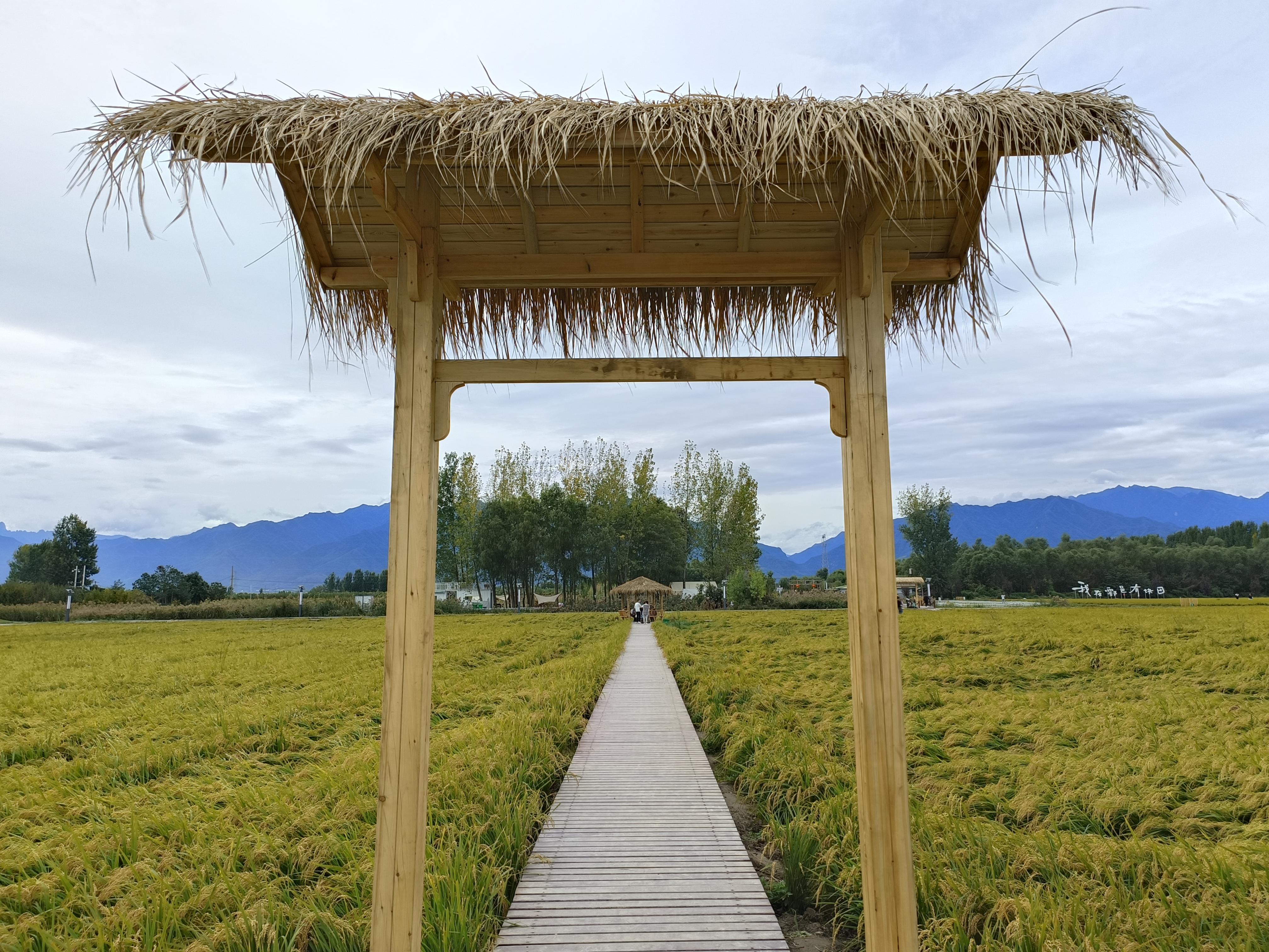 西安粉笔村昔日闻名，鄠邑区美景更值得你去旅行 - 知乎