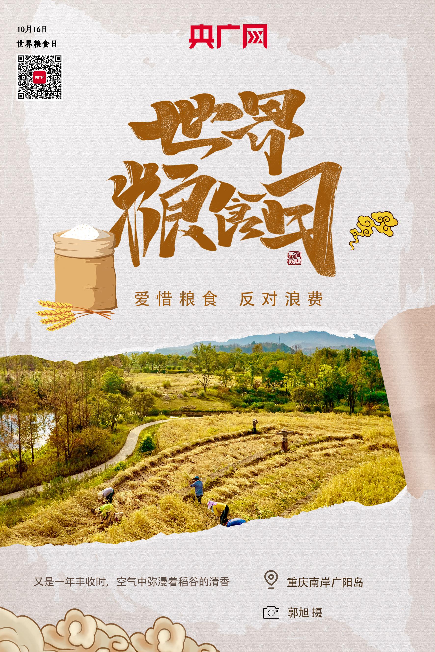 10月16日是世界粮食日,我国今年的主题是"保障粮食供给 端牢中国饭碗"