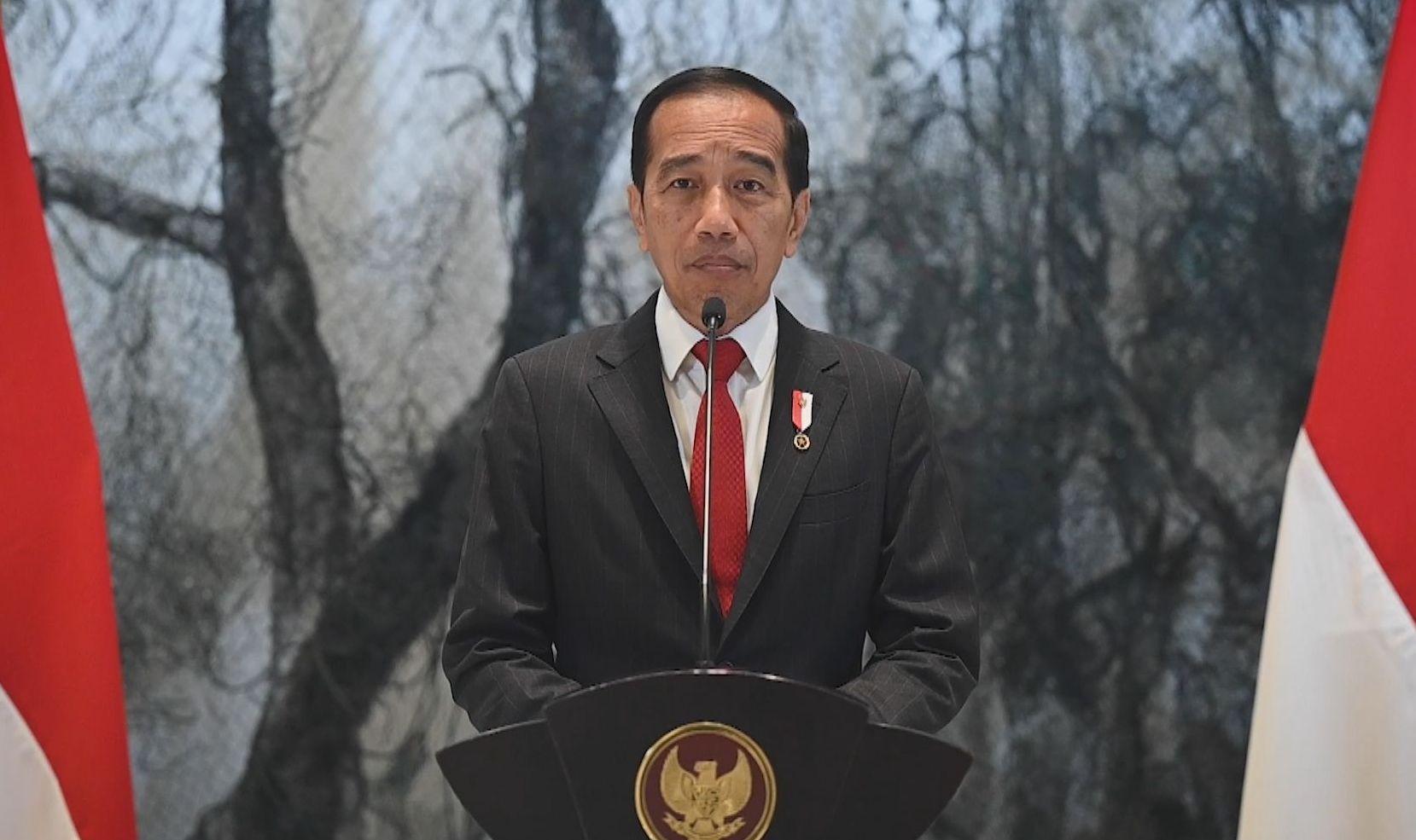 印尼总统佐科进博会为促进世界经济增长复苏提供对话平台
