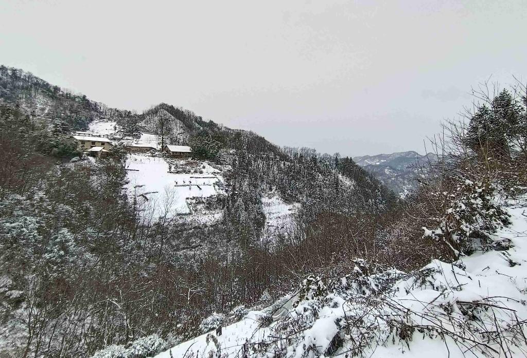 【图集】秦巴山区 雪后美景如画