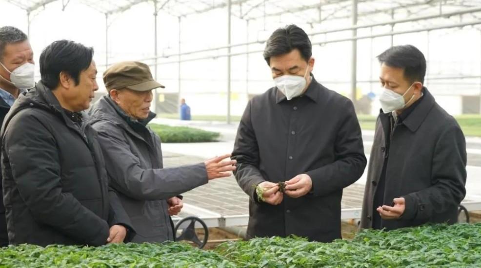 咸阳市副市长李华林来泾阳县调研当前各项重点工作