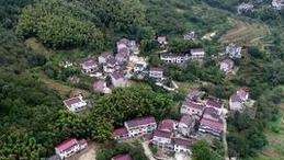 小鹏鹏与一个“爸爸”和四个“妈妈”的故事
