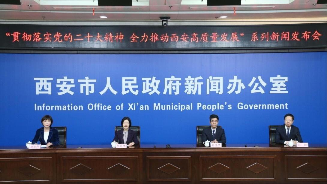 西安今年将推进25个区域商圈、150个社区便民商圈建设