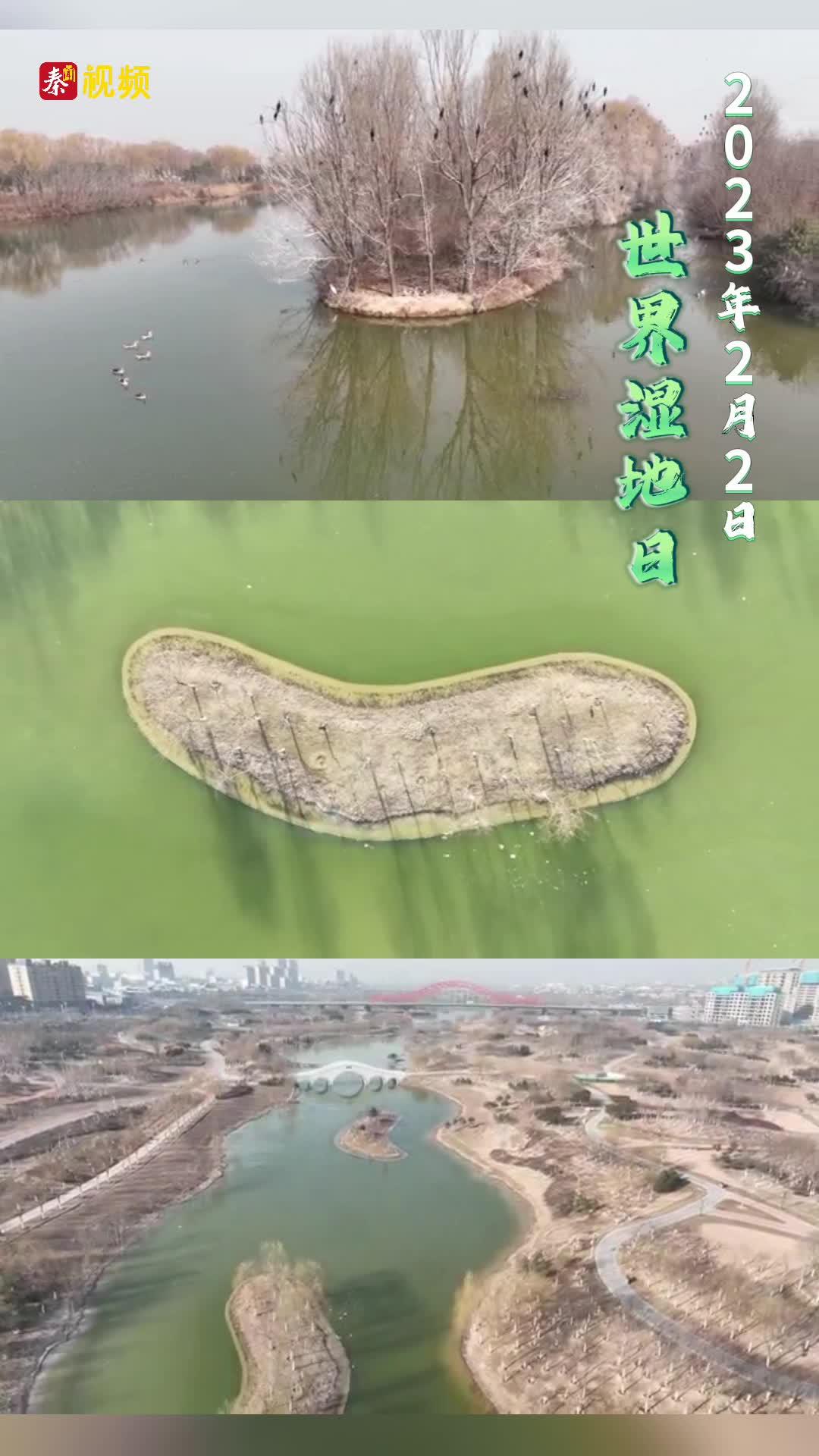 第27个世界湿地日丨看陕西境内湿地美景