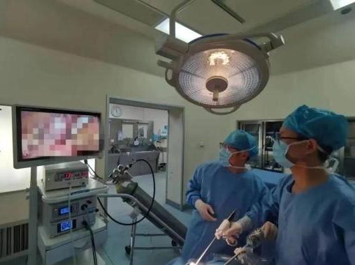 红会医院成功开展首例经后腹腔镜下肾囊肿去顶减压术