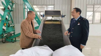 香飘丝路 税泽茶乡
