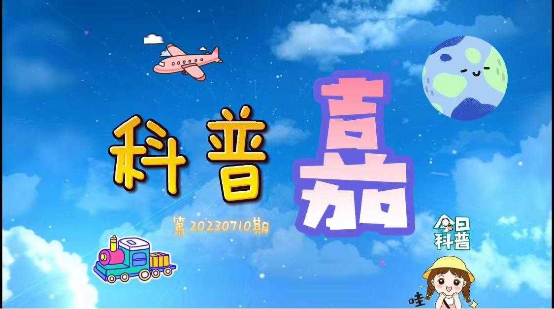 科普嘉｜“梦中情瓜”怎么选？
