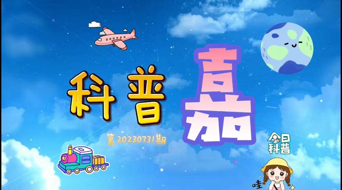 科普嘉｜夏季高温高湿，你需要更多“补水方式”