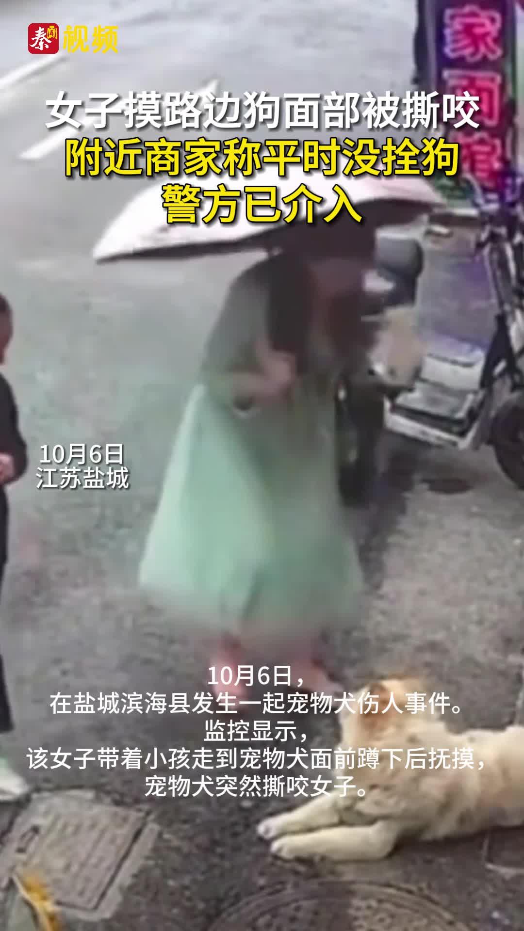 女子摸路边狗面部被撕咬 附近商家称平时没拴狗 警方已介入