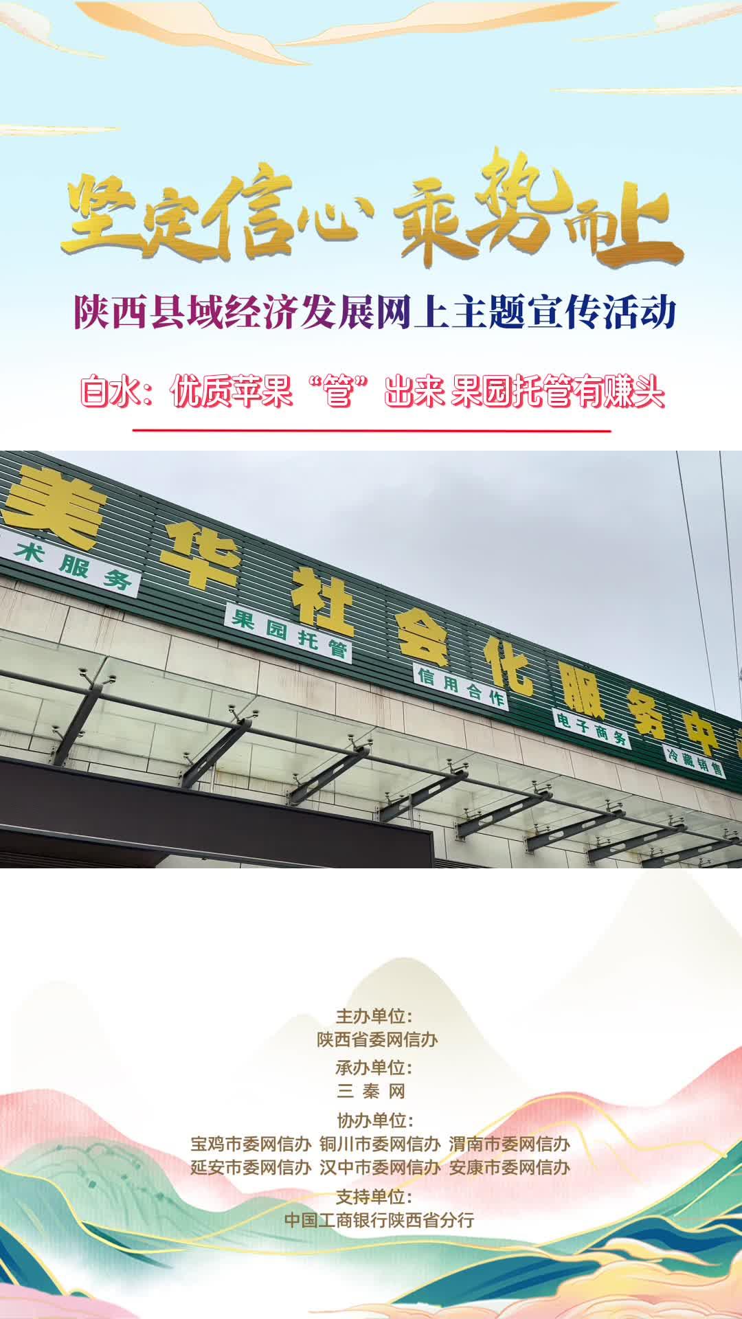 白水：优质苹果“管”出来 果园托管有赚头