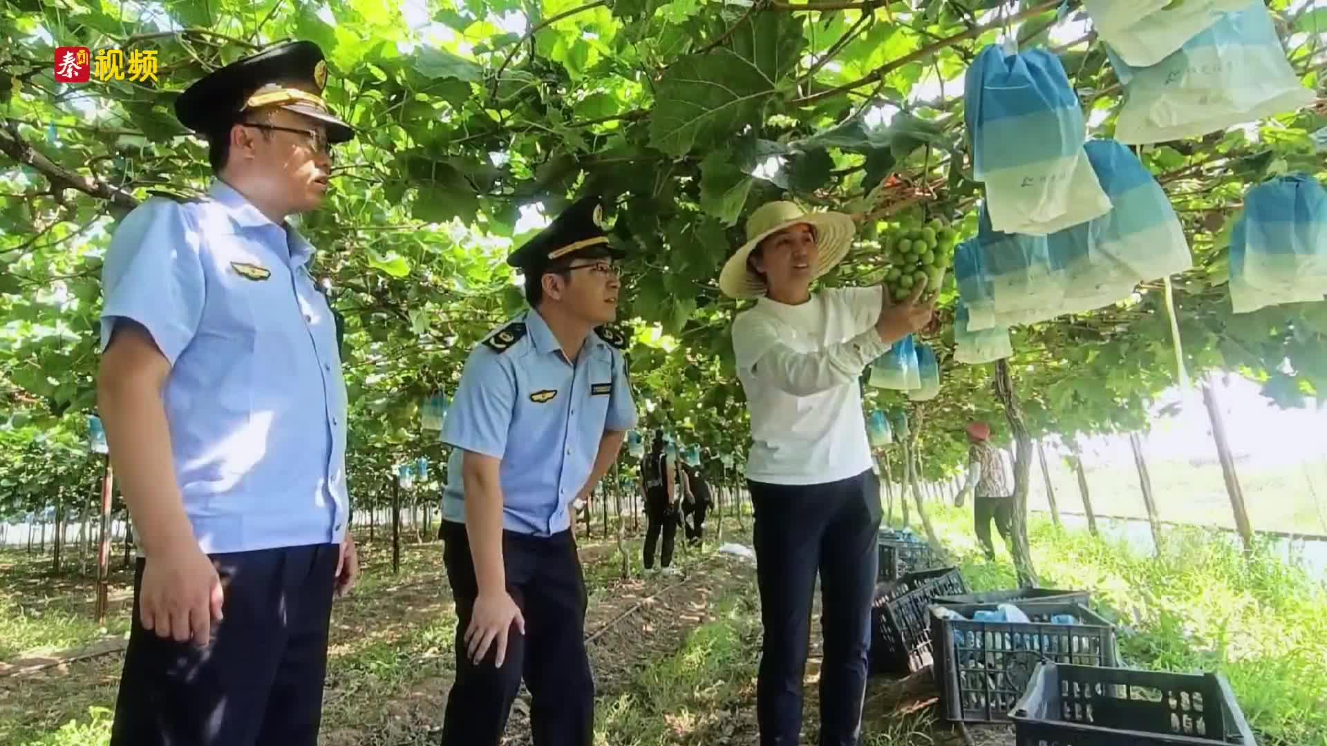 送法入企:“种养结合”打造环保“生态链”