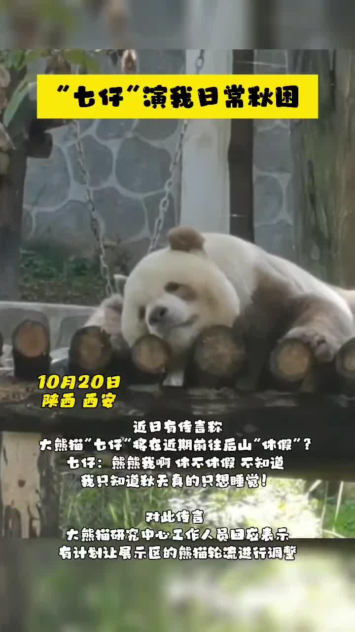 “七仔”演我日常秋困