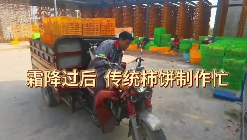 【视频】霜降过后 传统柿饼制作忙