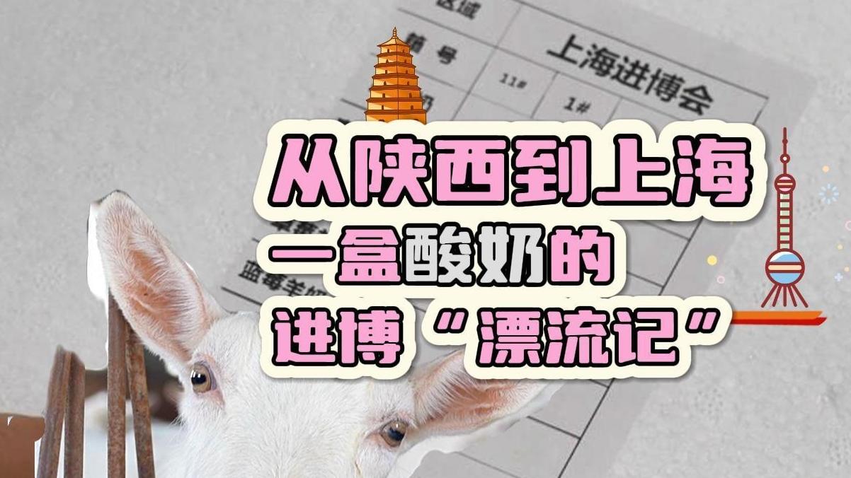 从陕西到上海，一盒酸奶的进博“漂流记”