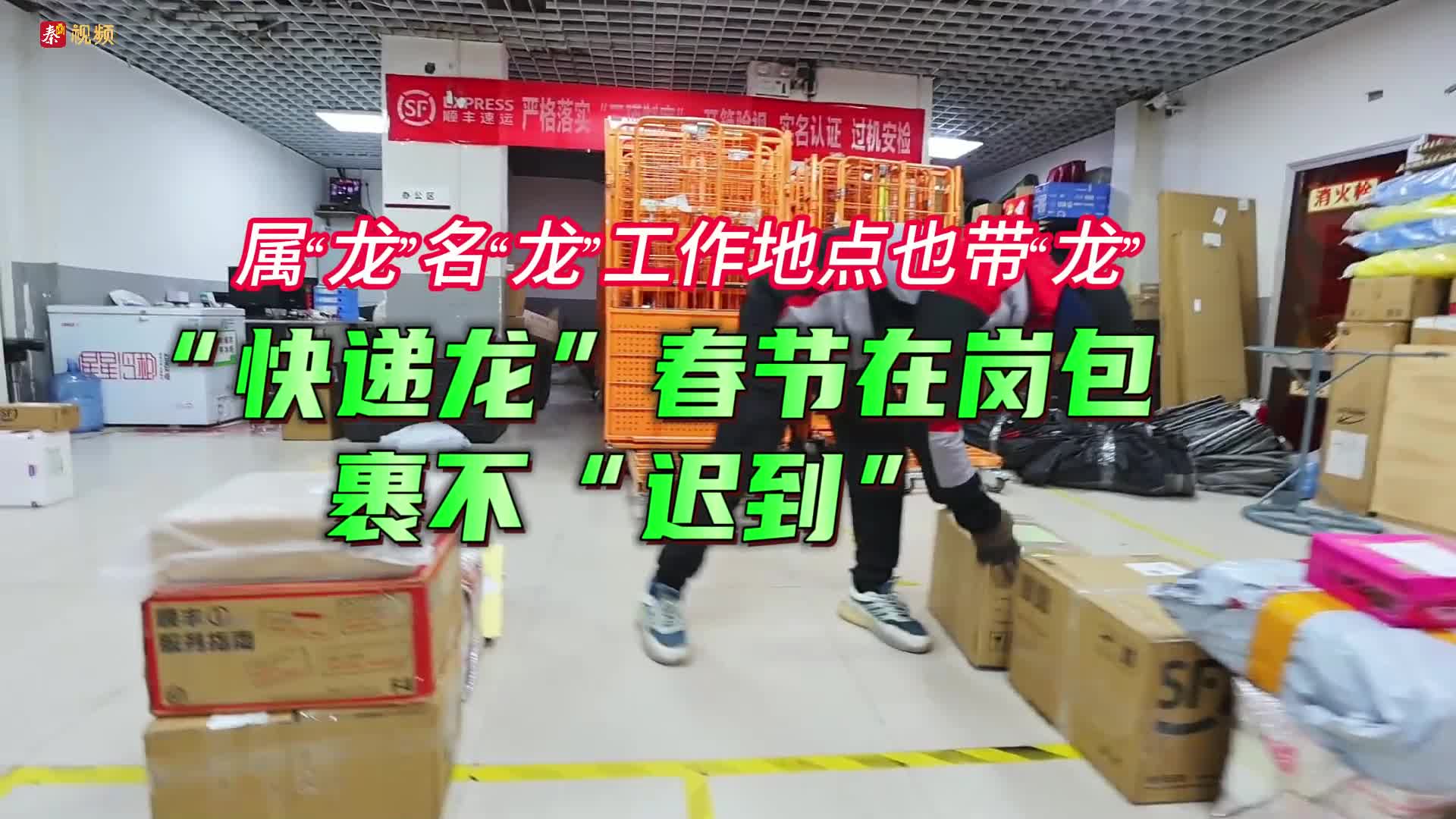 视频丨“快递龙”春节在岗包裹不“迟到”