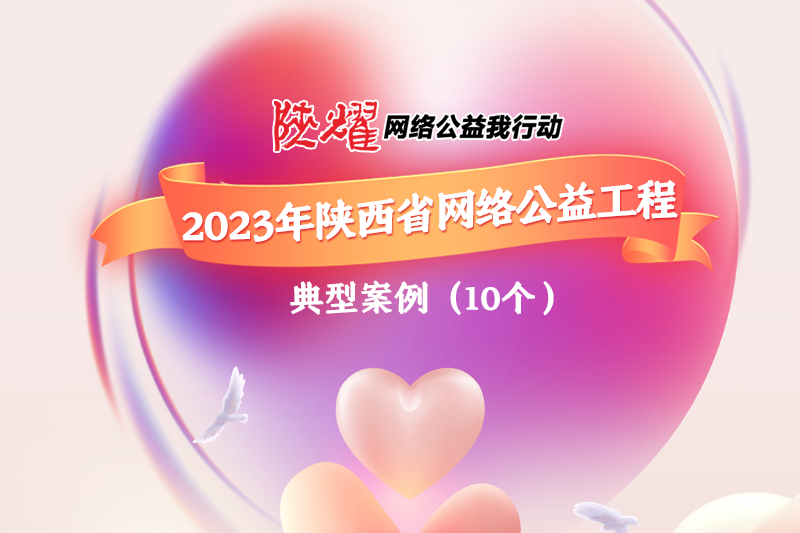 2023年陕西省网络公益工程典型案例（10个）