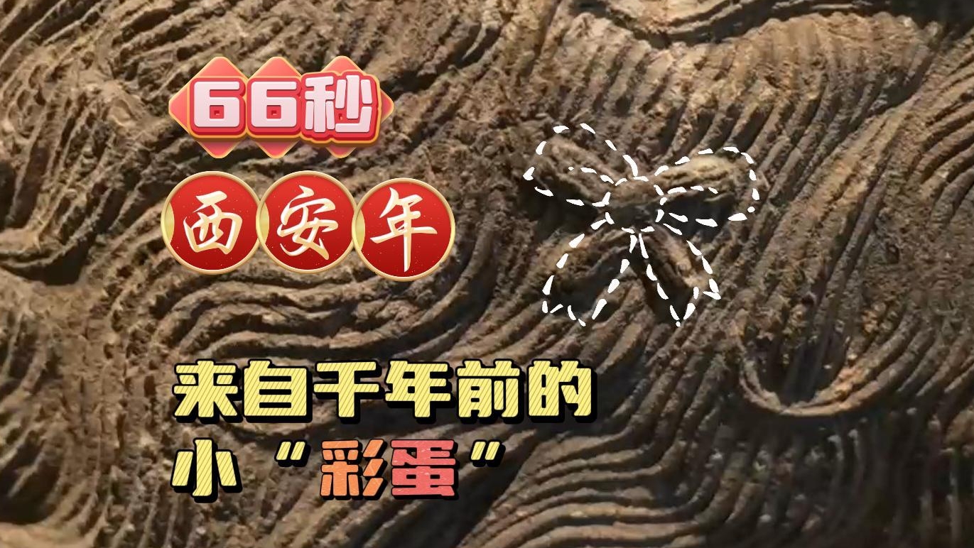 66秒西安年 （二）丨快去看看 来自千年前的小“彩蛋”