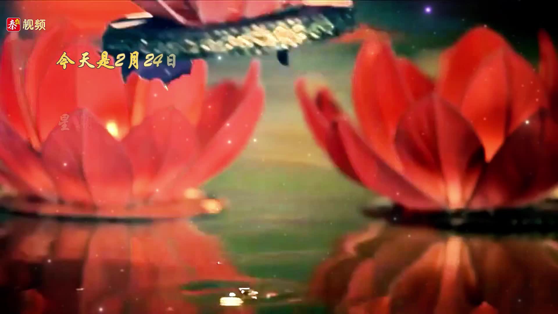 花灯逢元夜 今宵共团圆
