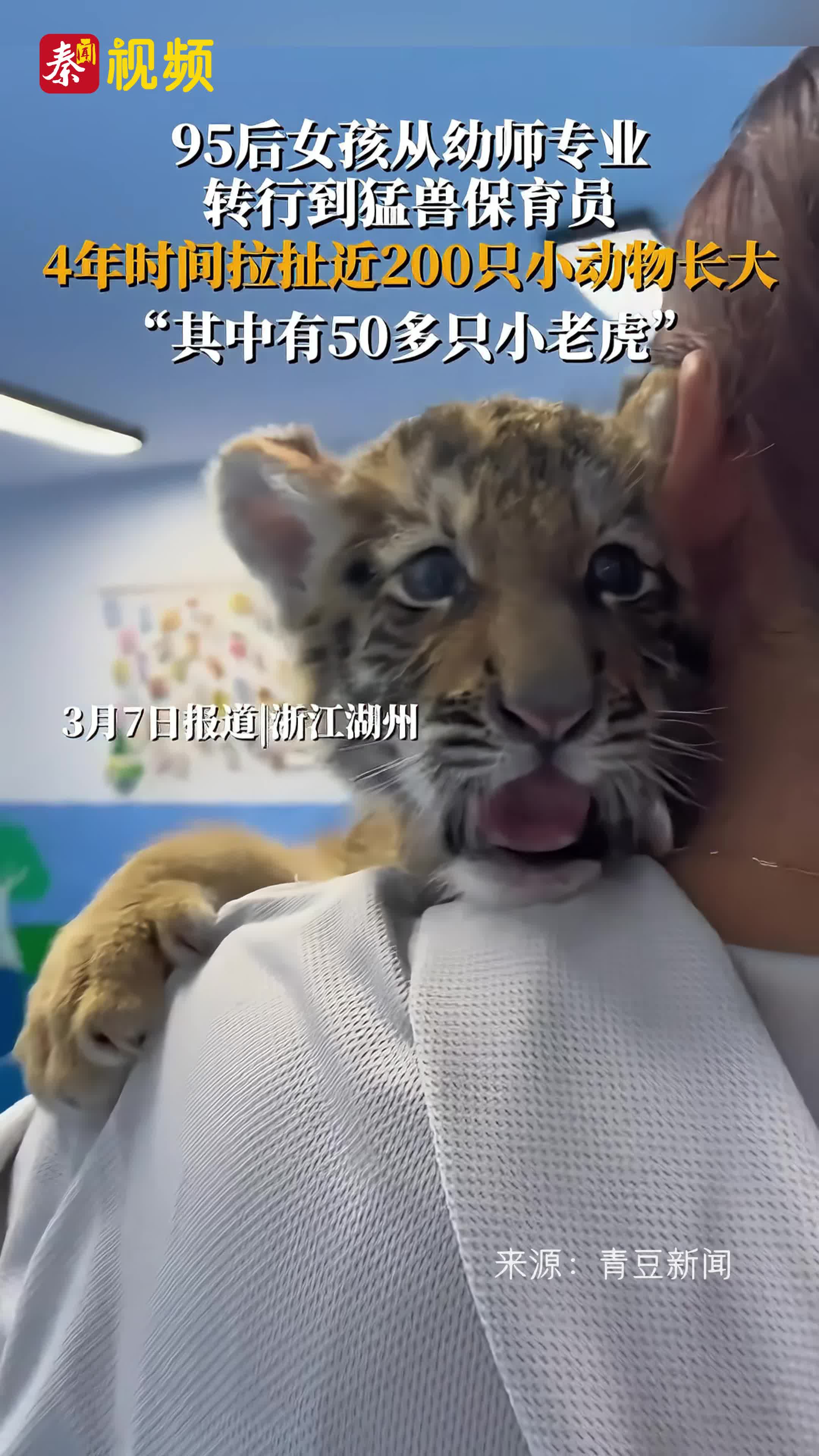 95后女孩从幼师专业转行到猛兽保育员，4年时间拉扯200个小动物长大：“其中有50多只小老虎”