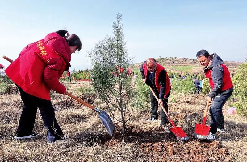陕西全省义务植树持续火热