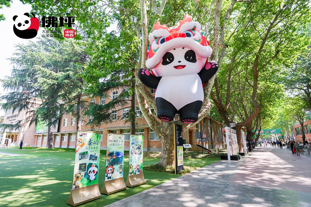 “静美佛坪 熊猫家园”秦岭生态影像展 邀您共享自然之美