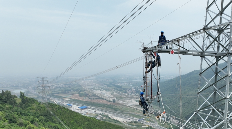 载重无人机助力330千伏阳山线春检完成