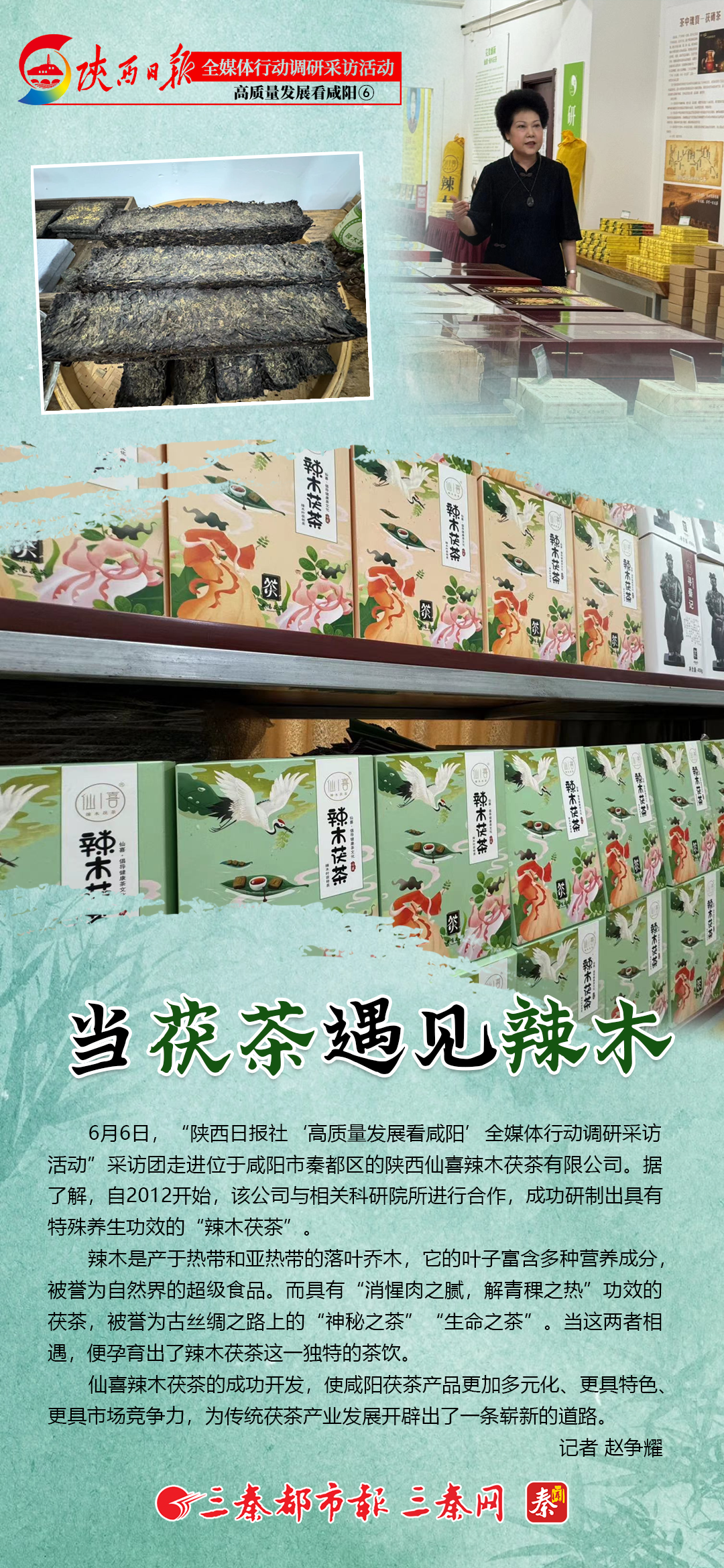 高质量发展看咸阳⑥|当茯茶遇见辣木