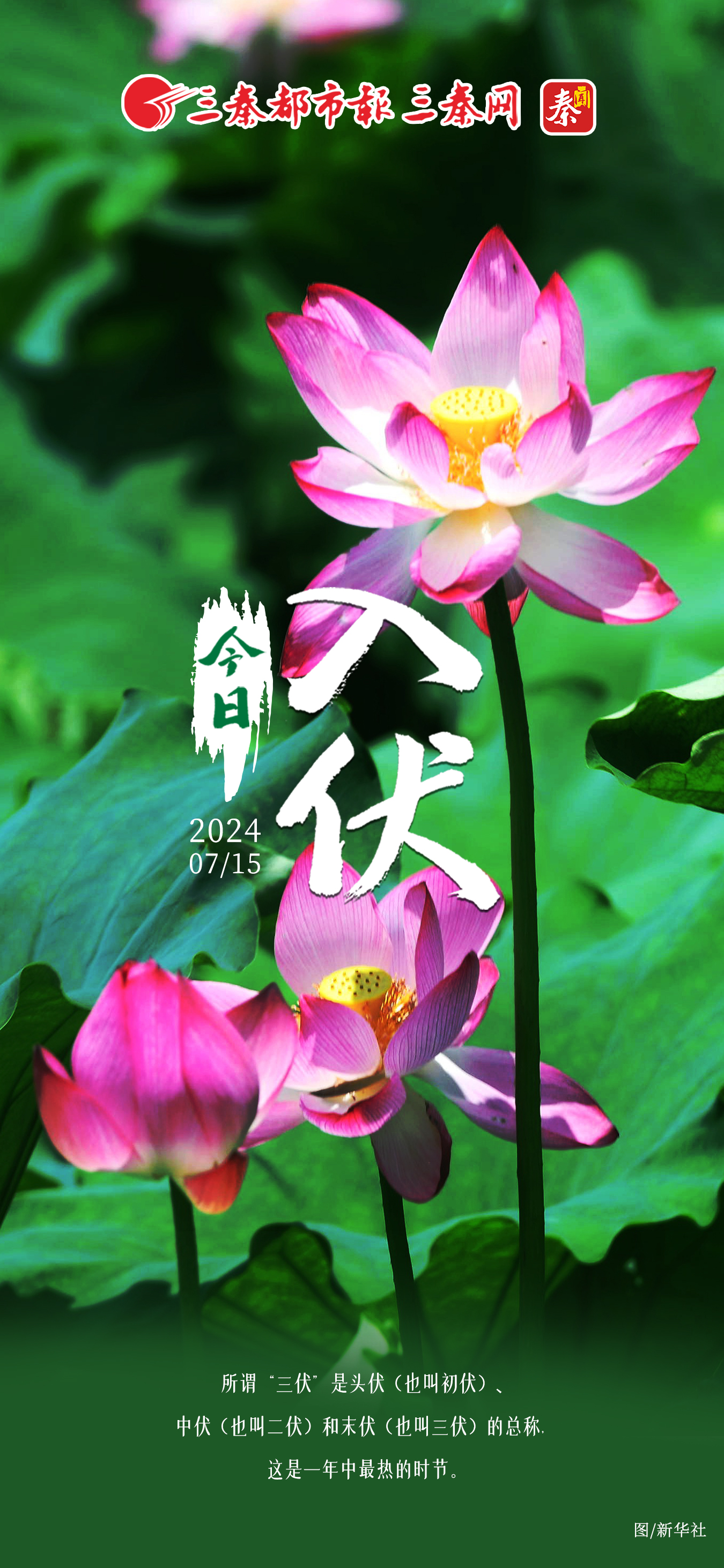 今日入伏