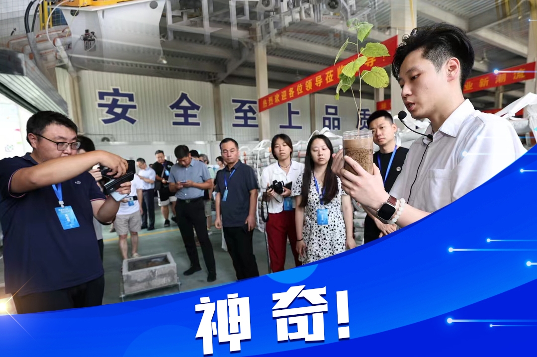 神奇！“水土不融”让沙子里也能种果树