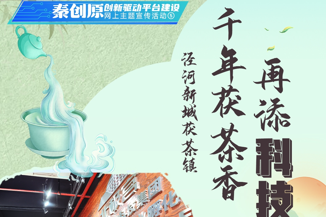 泾河新城茯茶镇：千年茯茶香 再添“科技味”