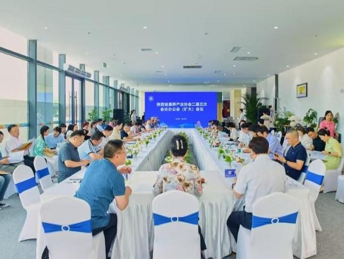 陕西省康养产业协会助力“中华慈善日”活动，共促银发经济与慈善事业蓬勃发展