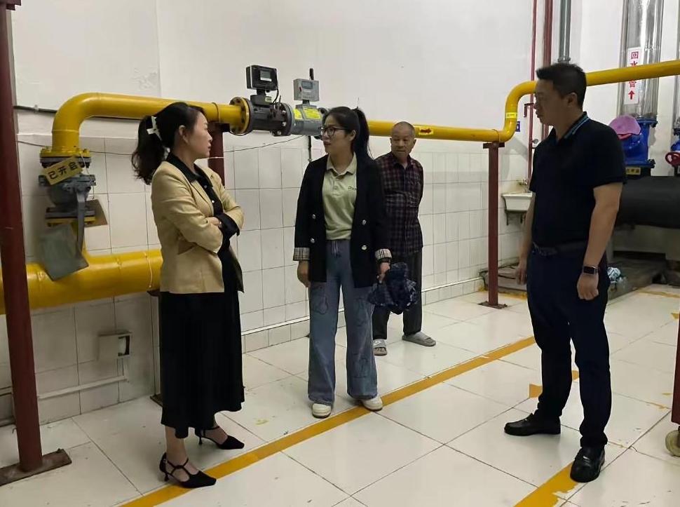 （环保）督导走访 推动燃气锅炉低氮燃烧深度治理