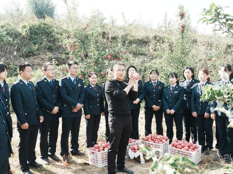延安税务：火红青春振兴美丽乡村