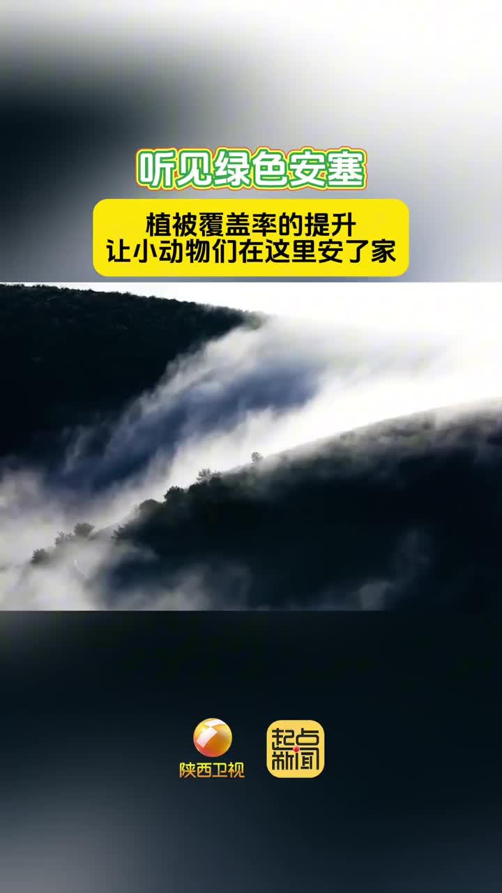 用耳朵聆听安塞的绿色变迁，感受人与大自然的和谐共处