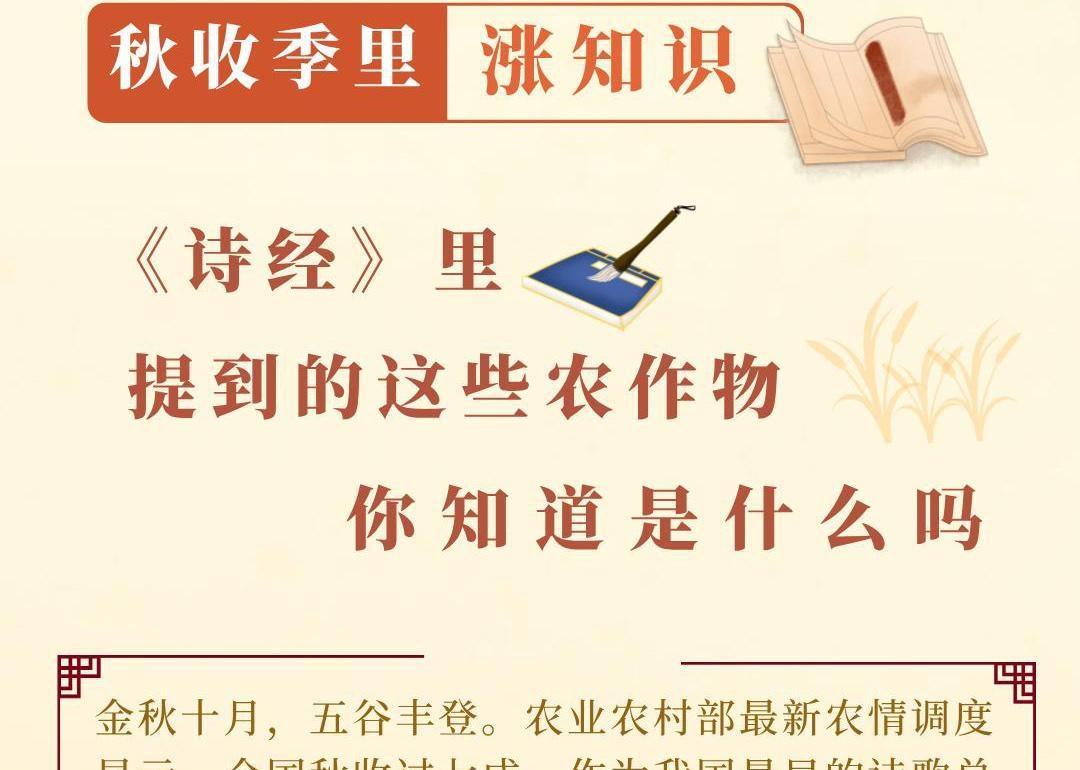 秋收季里涨知识丨《诗经》里提到的这些农作物，你知道是什么吗