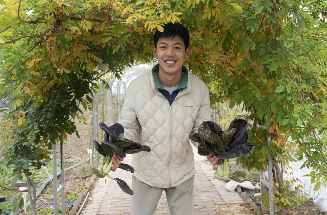 师生体验劳动丰收喜悦 一年间共38种农作物成功收获5000斤