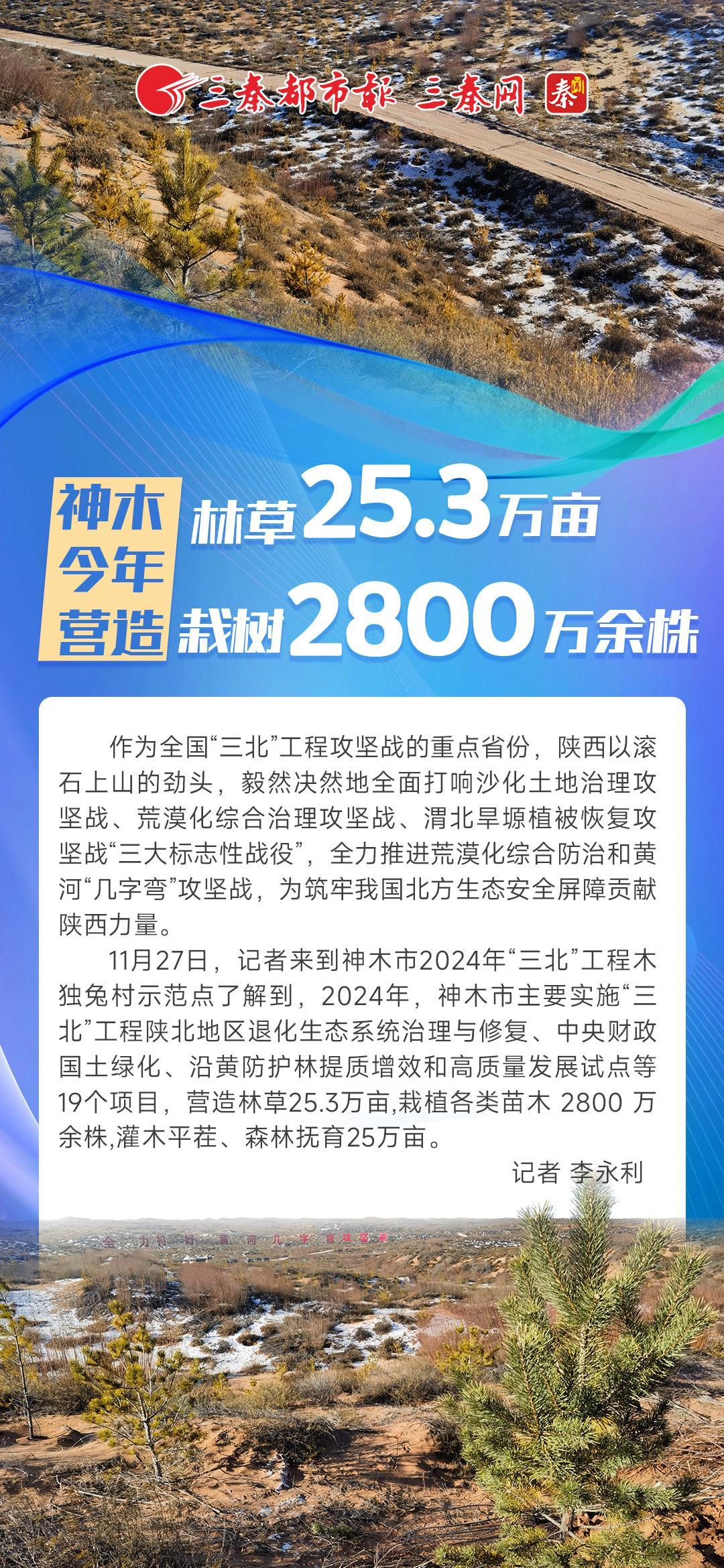 筑牢北方生态安全屏障①|神木今年营造林草25.3万亩 栽树2800万余株