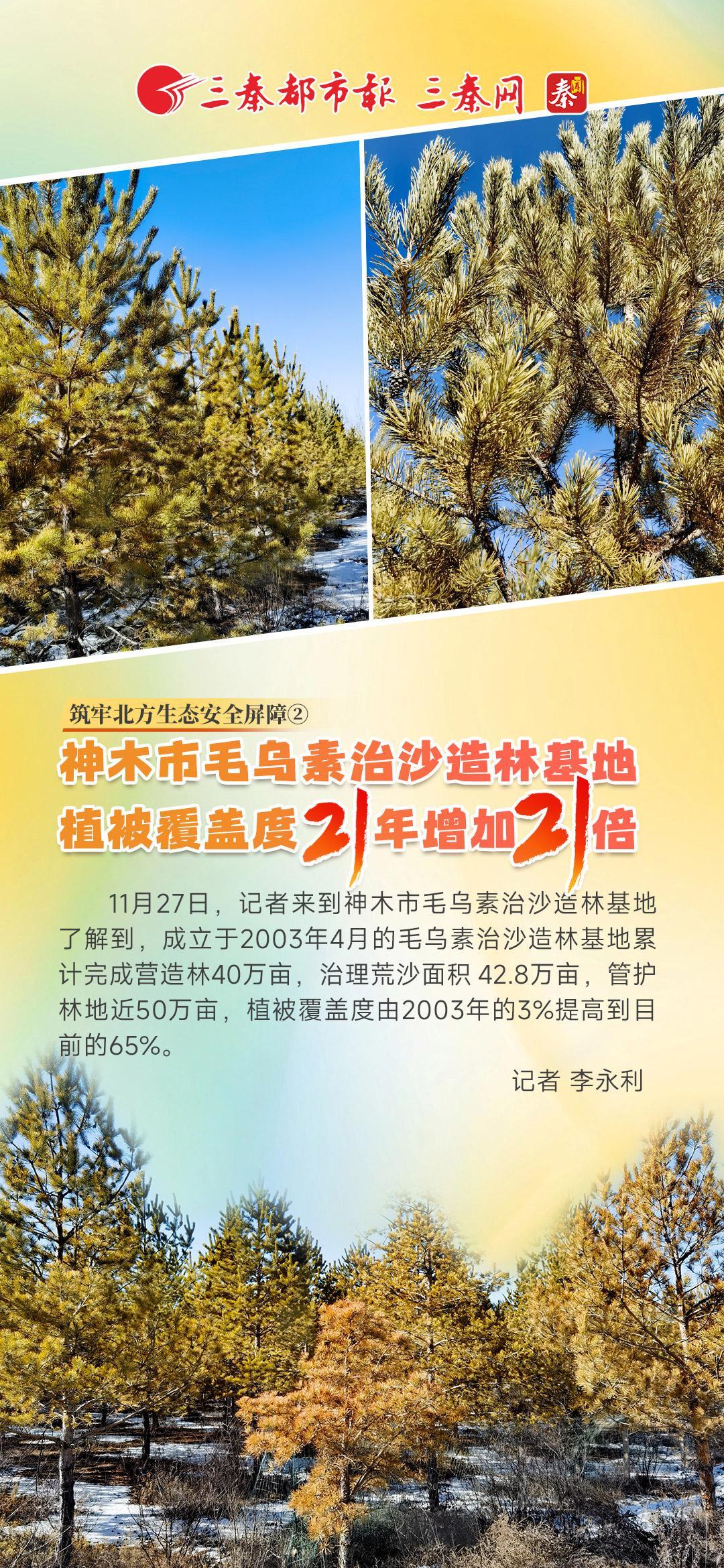 筑牢北方生态安全屏障②|神木市毛乌素治沙造林基地植被覆盖度21年增加21倍