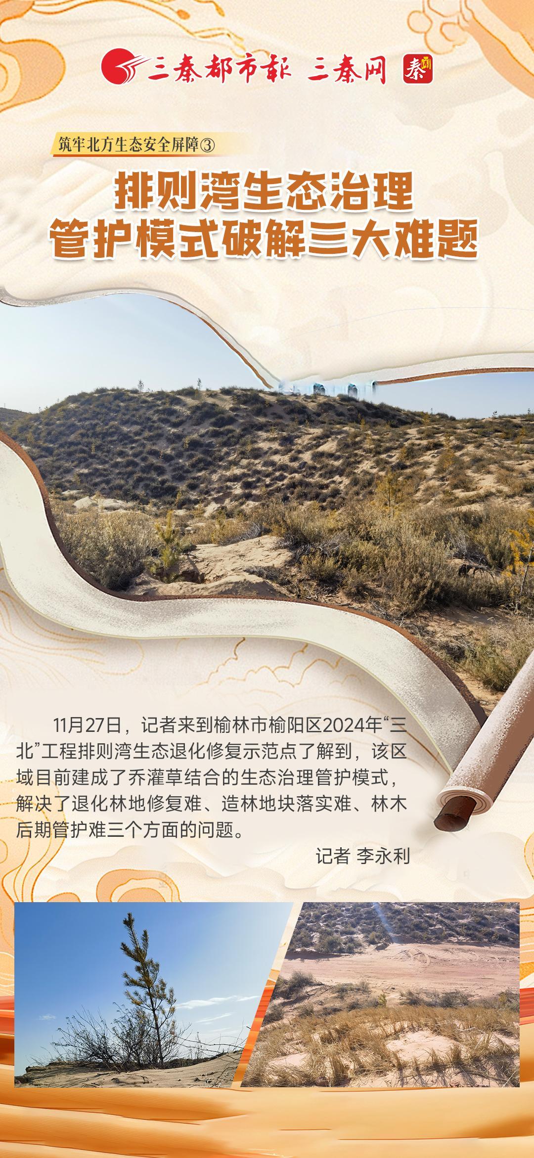 筑牢北方生态安全屏障③|排则湾生态治理管护模式破解三大难题