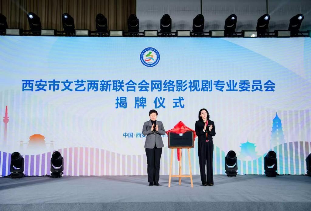 西安市文艺两新联合会网络影视剧专业委员会成立