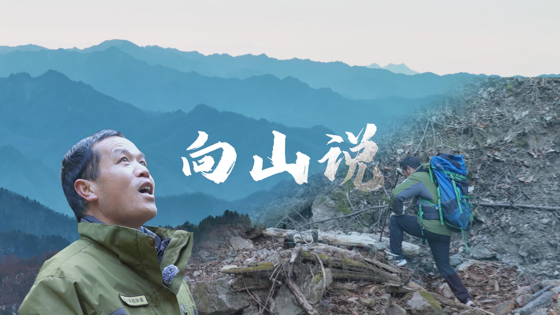 微纪录丨向山说