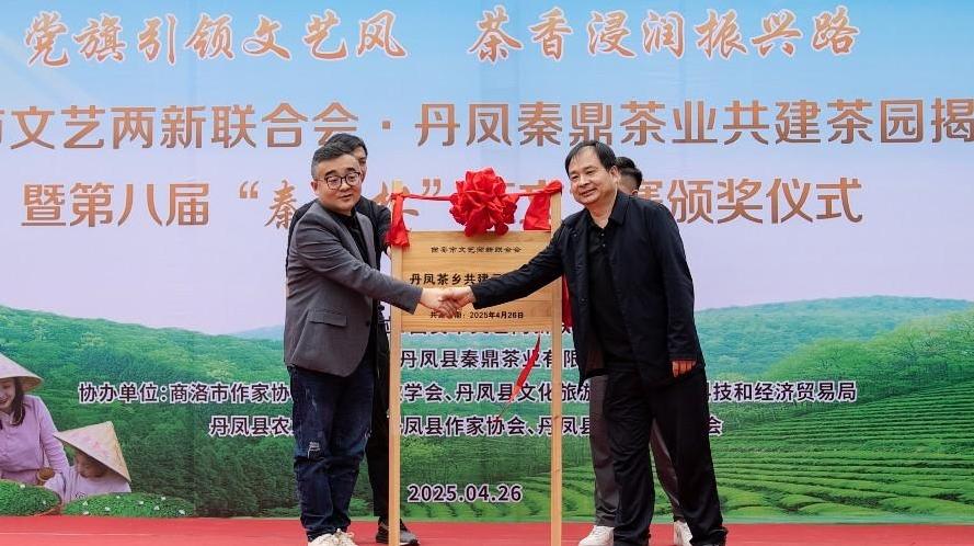文化艺术赋能产业升级 茶香浸润振兴路