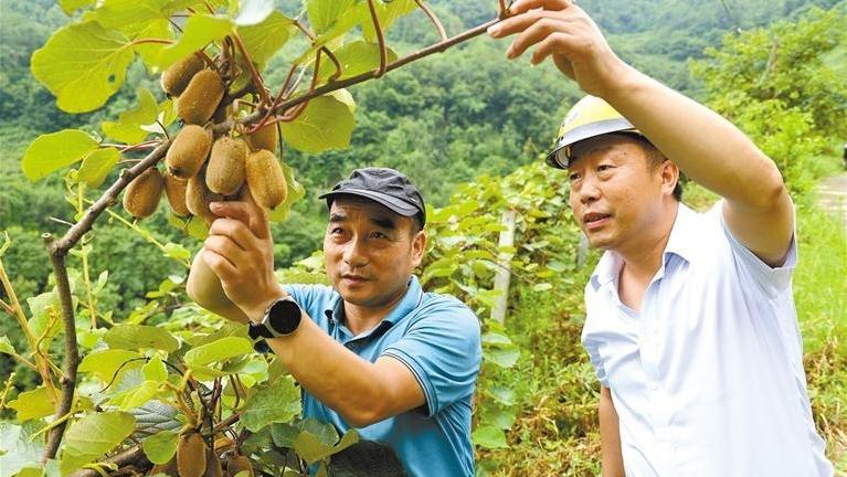 一个山区县的引才育才之路