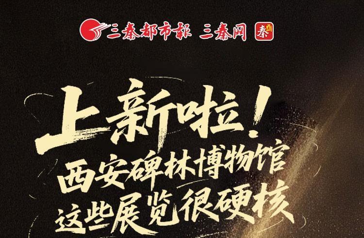 上新啦！西安碑林博物馆这些展览很硬核