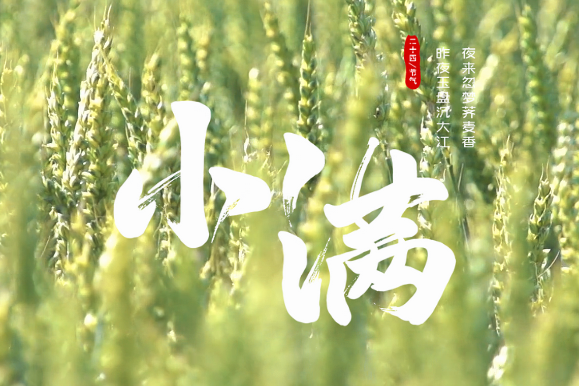 二十四节气｜小满 万物初盈满 美好逢其时